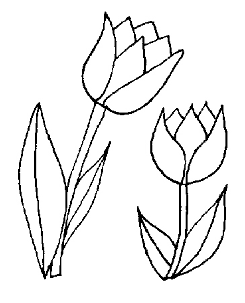 Online coloring book: Coloring book two tulips for mom